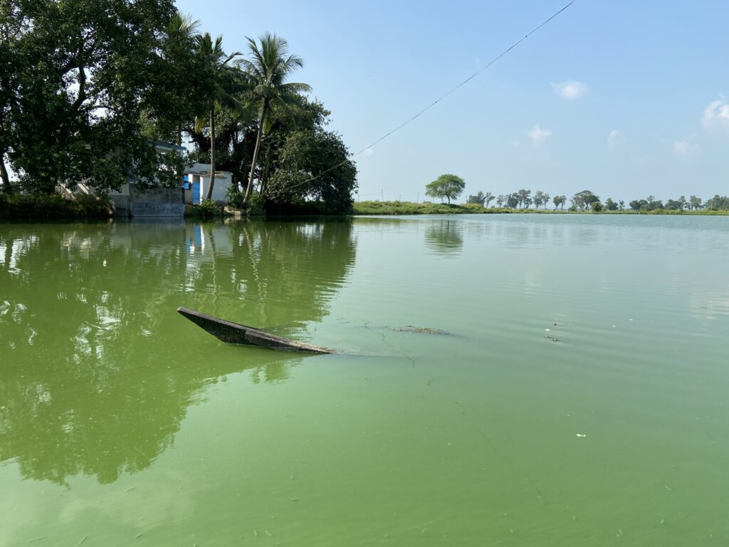 Half sunk canoe in Burdwan, at the end of the biking trip through West Bengal