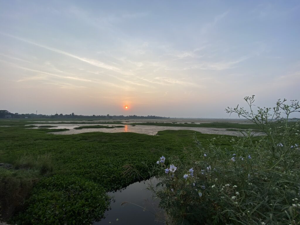 sunset over marsh