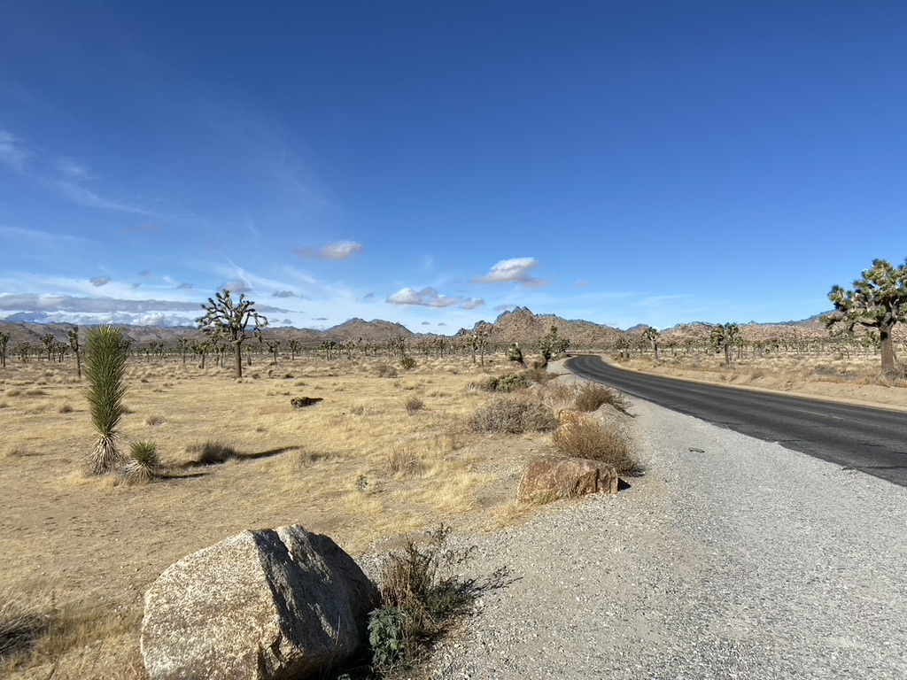 Road through the high deserts of Joshua Tree National Park in California